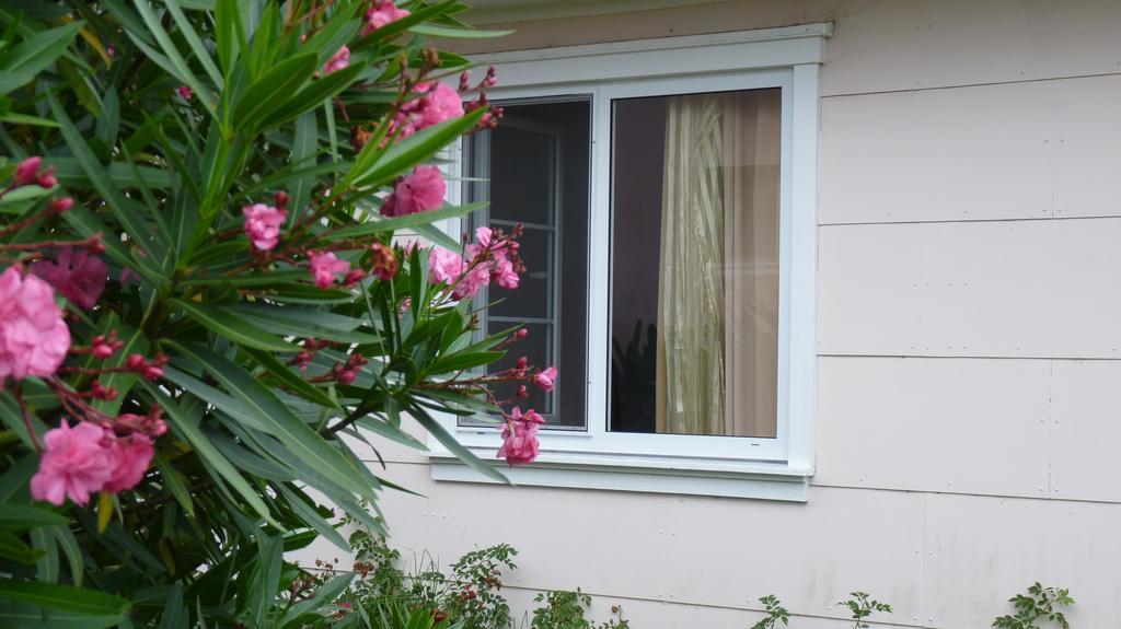 Azores Garden House - Private Suites & Apartments - Automatic Self Check-In Πόντα Ντελγκάντα Εξωτερικό φωτογραφία